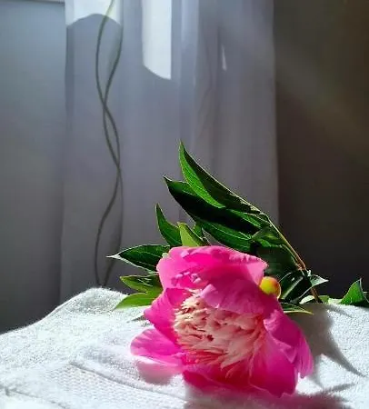 Appartement Baloro *