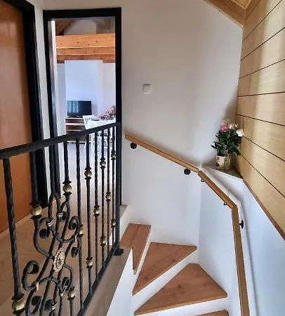 Baloro * Mokošica